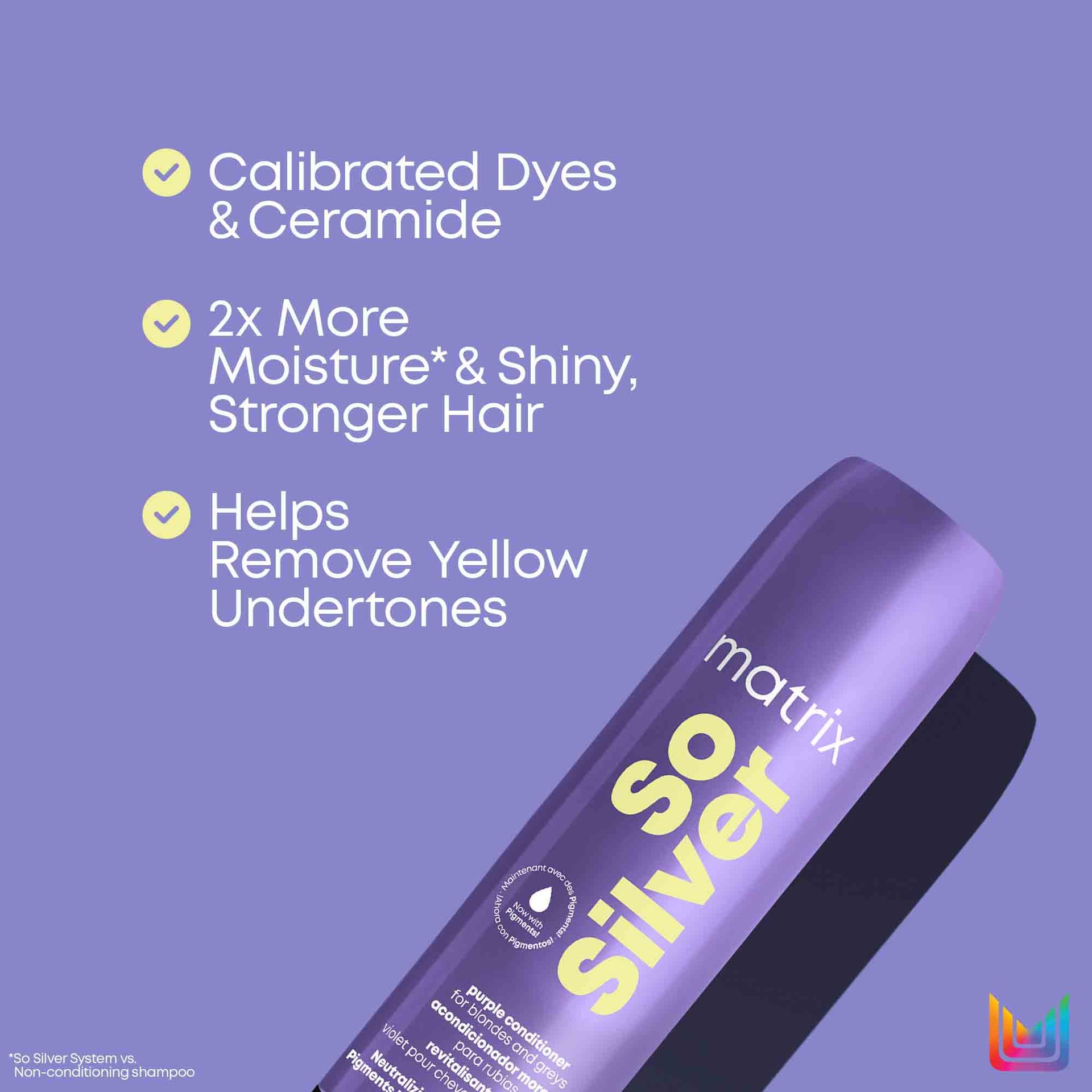 So Silver Shampoo 2